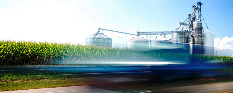 Back to Basics: Biofuels Offer Cleaner Air, Stable Markets