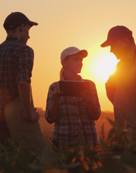 Three people in caps and plaid shirts stand in a field at sunset, one holding a tablet, discussing Farm Program Services.