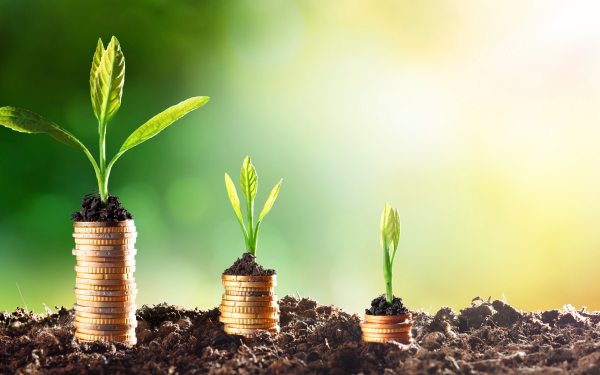 Three stacks of coins with growing plants on top, increasing in size from right to left, symbolize the impact of Farm Program Services. Set against a blurred green and yellow background, they rest on a soil surface, illustrating sustainable growth and agricultural prosperity.
