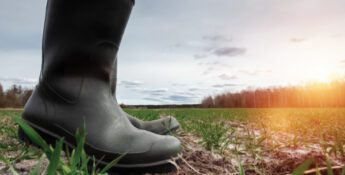 A pair of black rubber boots stands on grassy, muddy ground with a sunset in the background, symbolizing the hard work and dedication of farm business management.