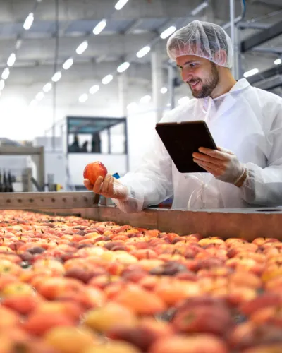 A worker in protective clothing inspects apples on a conveyor belt, holding a tablet for data entry in a processing facility.