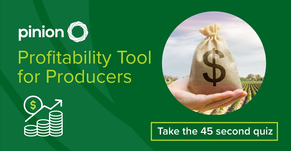 profitability-tool-v4