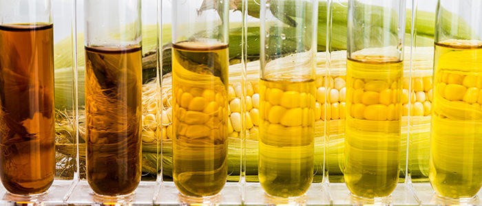 kcoe isom biofuels ethanol margins