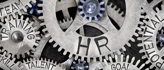 Outsourcing HR services for large and small operations