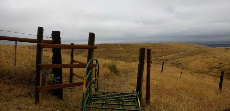 A rural landscape with a metal cattle guard and wooden fence in the foreground. Rolling hills covered with dry grass extend into the cloudy horizon.