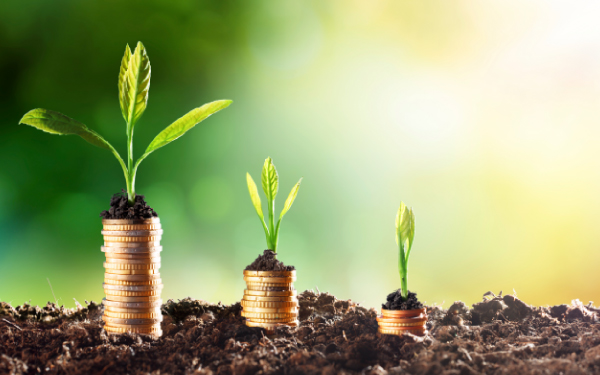 Three stacks of coins with soil on top, each nurturing a growing plant, symbolize the essence of a financial operations strategy. The background features a blurred green and yellow gradient, highlighting the synergy between nature and fiscal growth.