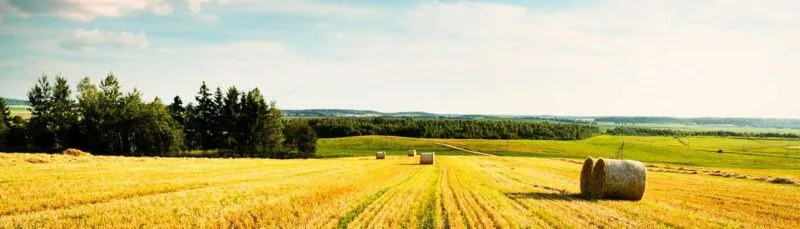 AgKnowledge