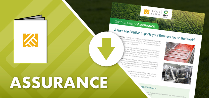 sustainability-assurance-download-cta