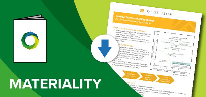 sustainability-materiality-download-cta