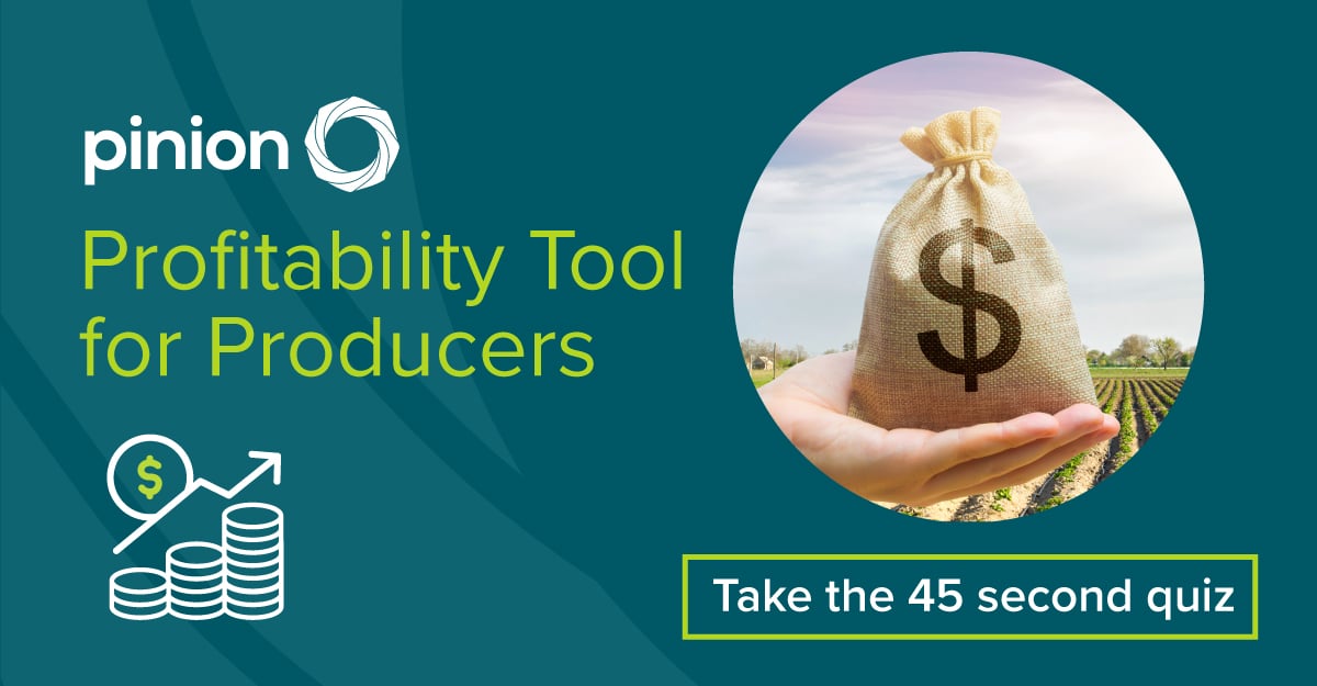 profitability-tool-v2