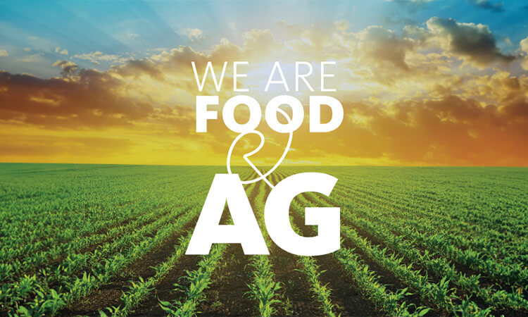 Text "We Are Food & Ag" over a vibrant agricultural field at sunrise, highlighting our Land Advisory expertise.