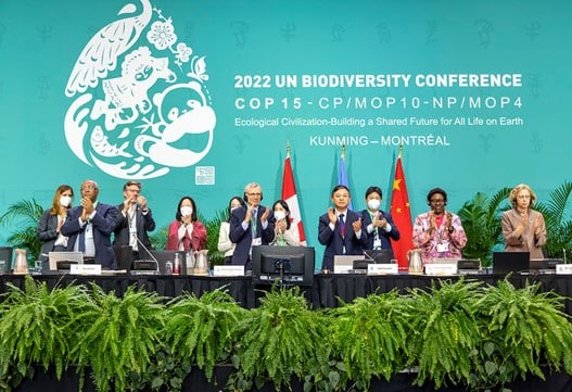 UN COP15 conference outlines COP15 goals