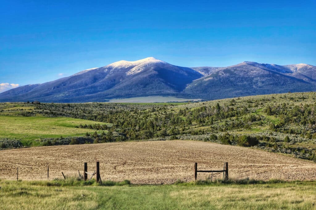 On a sunny, cloudless day in Montana, a distant snow-capped mountain is see from through a gate and across of landscape of green and yellow fields.