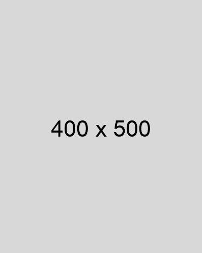 Placeholder image with dimensions 400x500 pixels, featuring a neutral gray background with centered text displaying the dimensions.