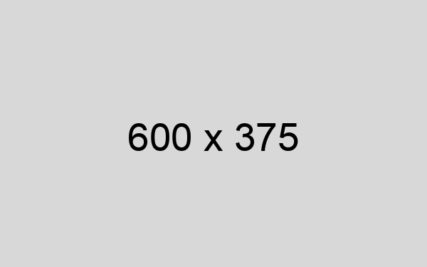 Placeholder image with dimensions 600x375 pixels on a gray background.