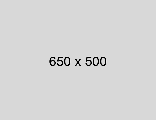 Placeholder image with dimensions 650x500 pixels, featuring a plain gray background and text indicating the size.