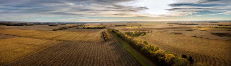 K·Coe Isom provides farm program services to guide you in maximizing USDA Farm Service Agency programs