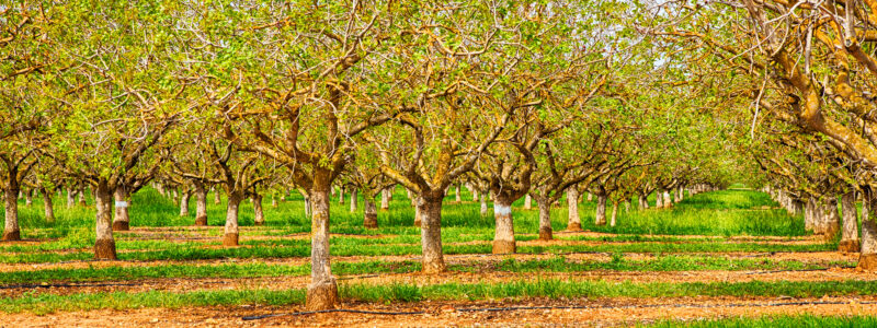 KCoe Advisors Earn Credential to Help Food & Ag Businesses Improve Sustainability Performance and Reporting