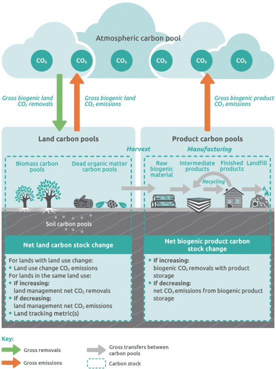 GHG protocol carbon stock illustration