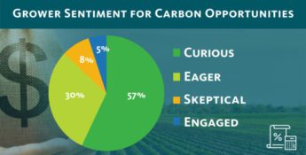 What’s Ahead for the Carbon Market