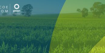 KCoe Isom Deepens Food & Ag Advisory with Expanded Offerings and New Global Footprint
