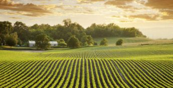 Sustainable Organizations Seeing More Funding Options