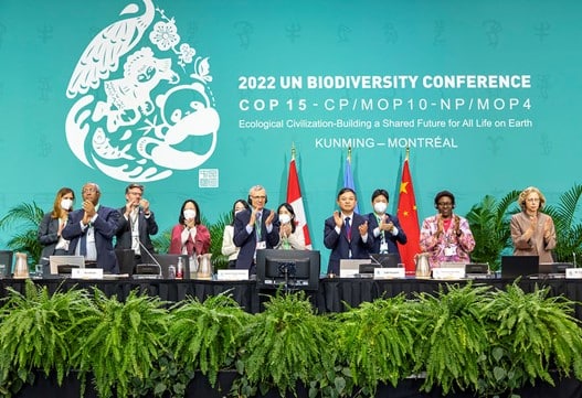 UN COP15 conference outlines COP15 goals