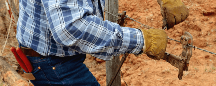 How to Make Farm Technology Pay Off