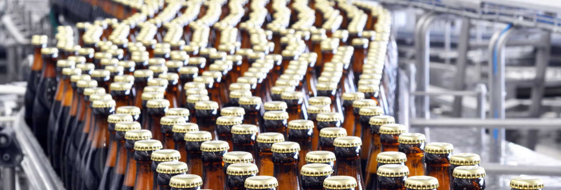 Rows of brown glass bottles with golden caps glide along a production line in a beverage factory, destined to cross grocery store barriers and reach eager customers.