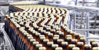 Rows of brown glass bottles with golden caps glide along a production line in a beverage factory, destined to cross grocery store barriers and reach eager customers.