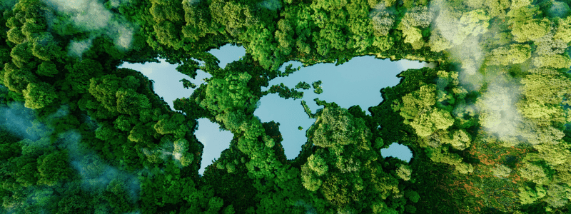 UN COP15 conference outlines COP15 goals