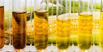 kcoe isom biofuels ethanol margins