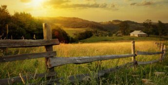 farm lease fsa