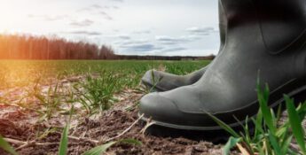 Agriculture Joins Food Companies in Global Climate Solutions