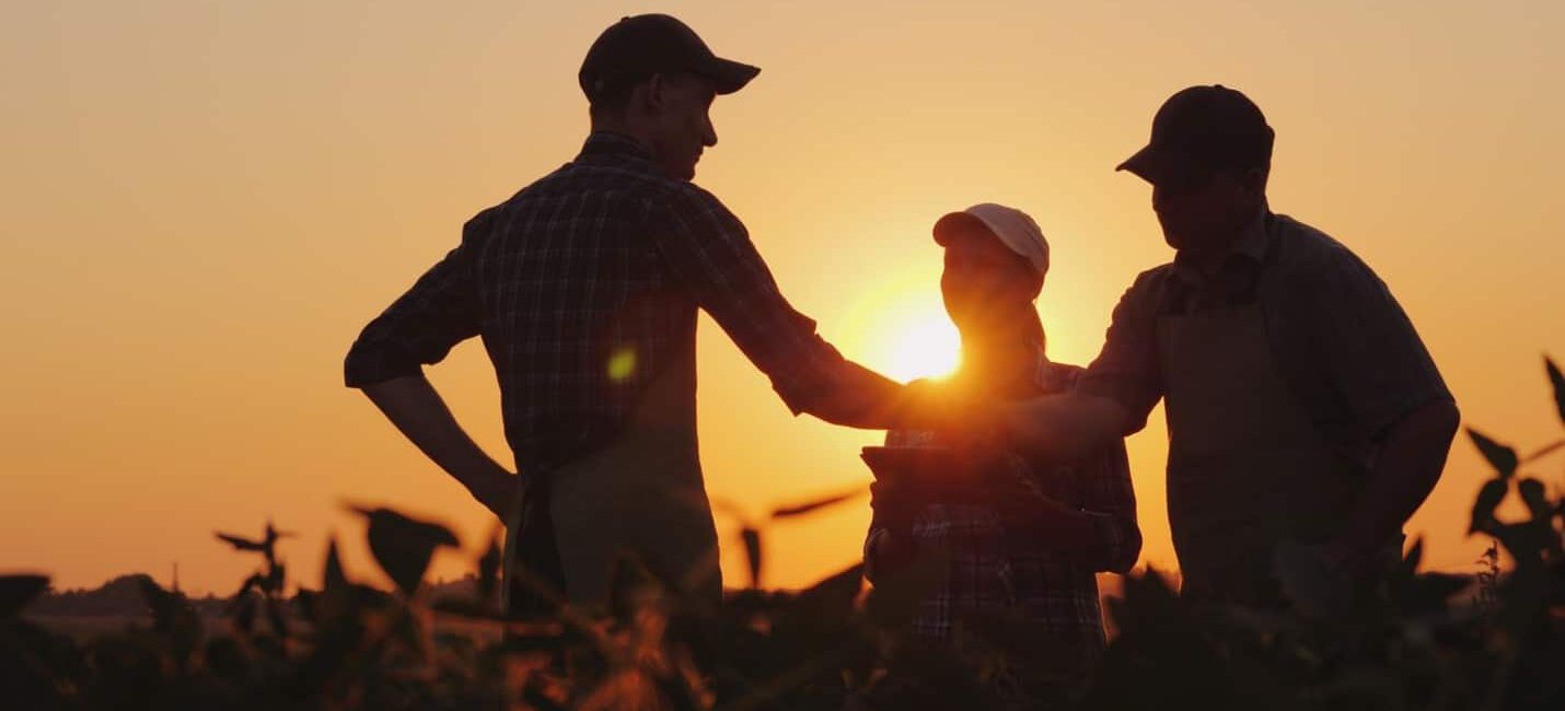 Three people in hats and aprons stand in a field at sunset, discussing strategies for improved employee retention as they share insights and foster camaraderie.