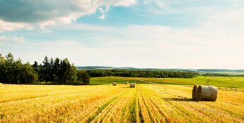 Caution & Potential Surrounding Common Ownership