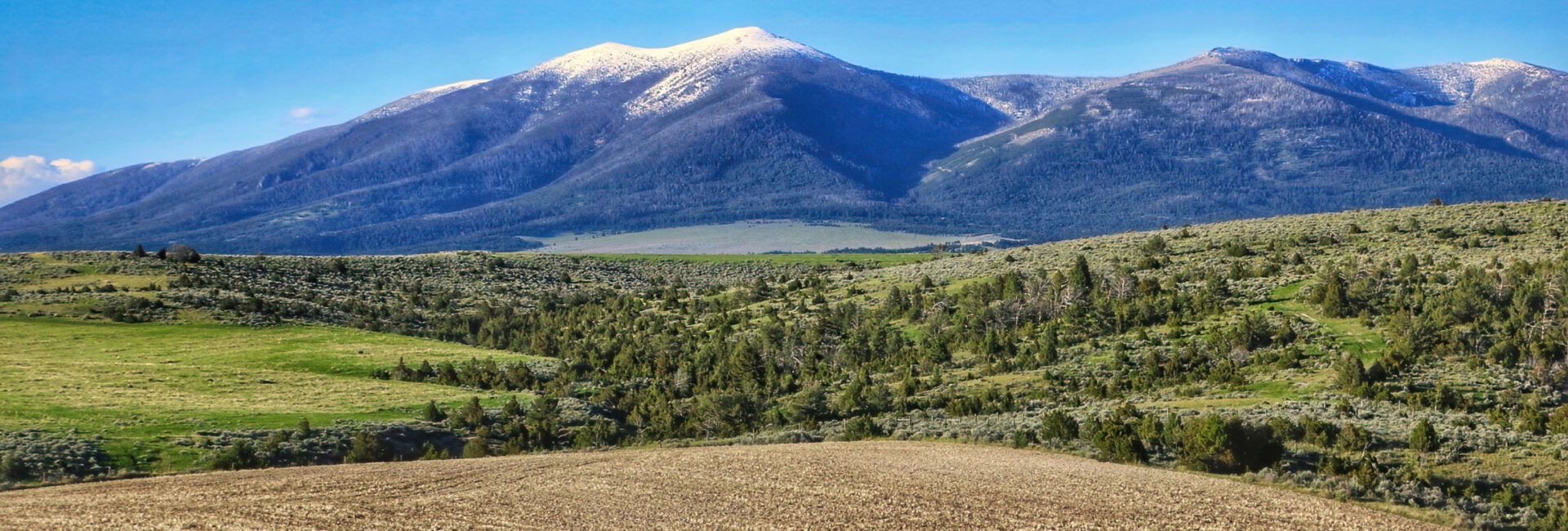 Experience the scenic view of a vast landscape featuring grassy fields, a conservation easement with fenced areas, and snow-peaked mountains under a clear blue sky.
