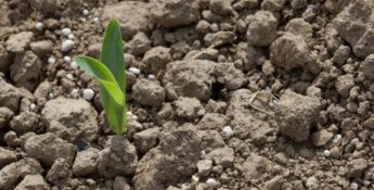 Grow Your Business
