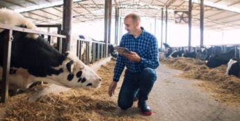 New Sustainability Targets for Cow-Calf and Feedyard Sectors: How to Set and Meet these Goals