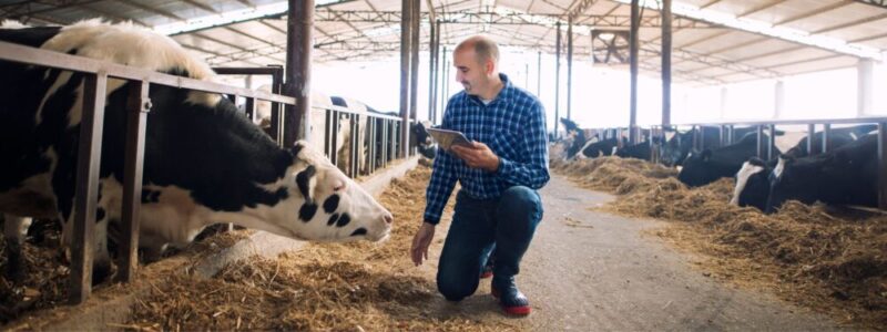 New Sustainability Targets for Cow-Calf and Feedyard Sectors: How to Set and Meet these Goals