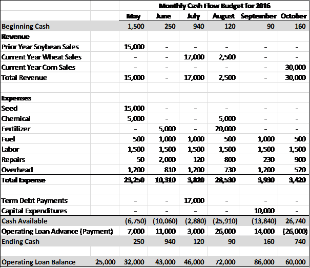 Cash Flow Projection