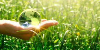 sustainability reporting