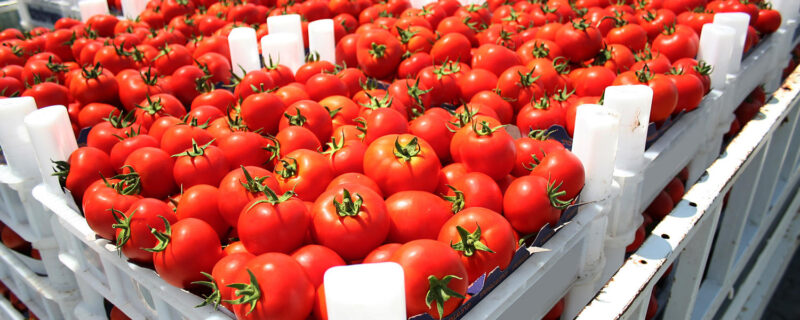 ag exporters