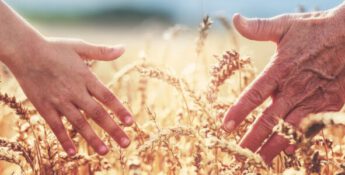 Why Family Farm Transitions Fail