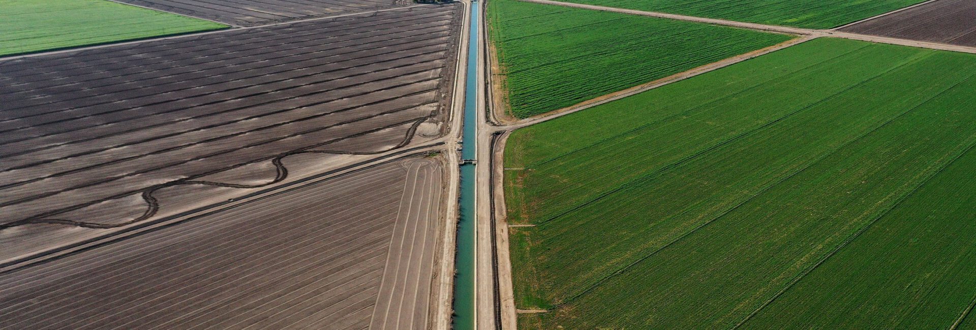 Aerial view of expansive agricultural fields with different shades of green and brown, intersected by a central irrigation canal. The scene showcases an intricate drainage tile design extending into the distance under a clear sky.