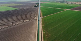 Aerial view of expansive agricultural fields with different shades of green and brown, intersected by a central irrigation canal. The scene showcases an intricate drainage tile design extending into the distance under a clear sky.