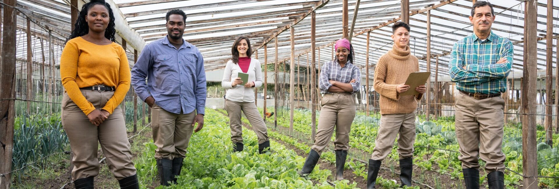 ag peer groups
