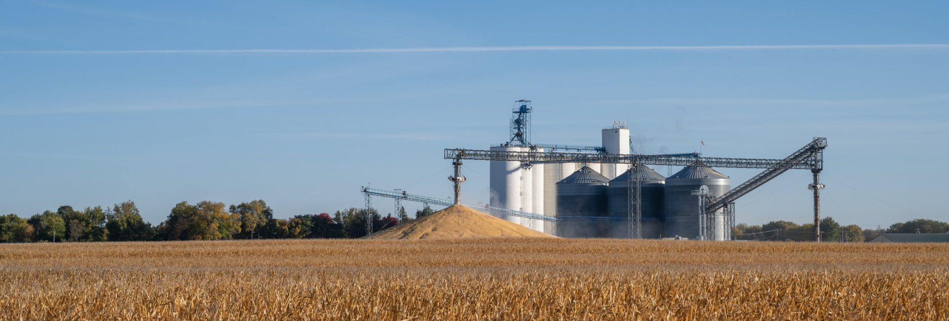 A cornfield with harvested corn piled high in front of large silver grain silos stands majestically under a clear blue sky, embodying agricultural progress while efforts to reduce carbon intensity shape the landscape's future.