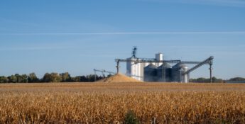 A cornfield with harvested corn piled high in front of large silver grain silos stands majestically under a clear blue sky, embodying agricultural progress while efforts to reduce carbon intensity shape the landscape's future.