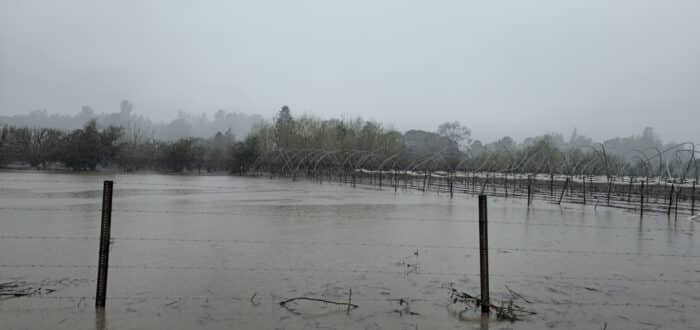 Flooded agricultural field with submerged trees and fencing under a cloudy sky.